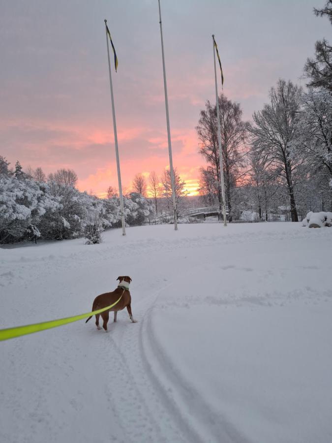Skogsbrynet B&B, Bredsjoe Nya Herrgard Hallefors  Экстерьер фото